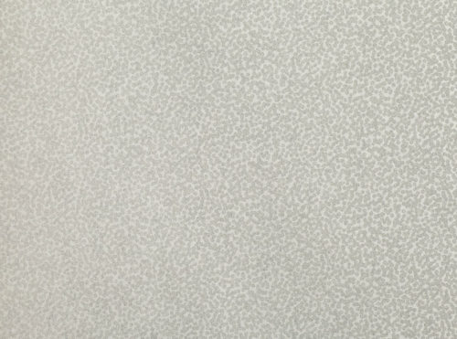 Tilla  Silver W397-06